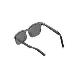 Smart Glasses